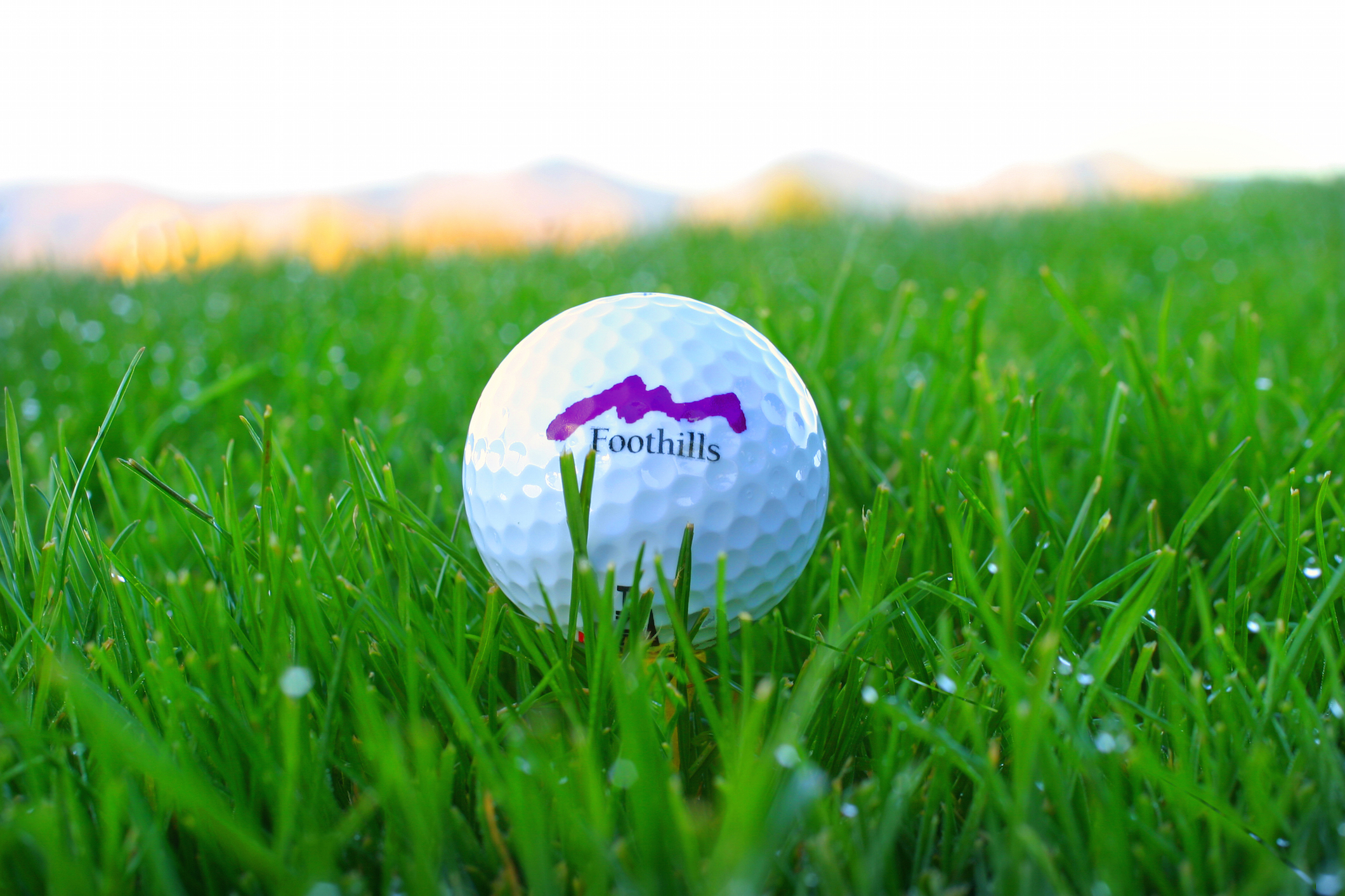 A white golf ball imprinted with a Foothills logo sitting on a golf tee surrounded by green grass