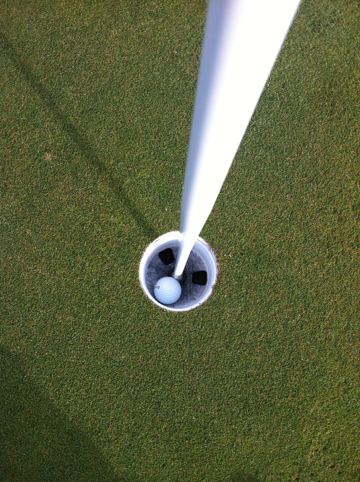 View of a golf ball inside the cup on a golf green.